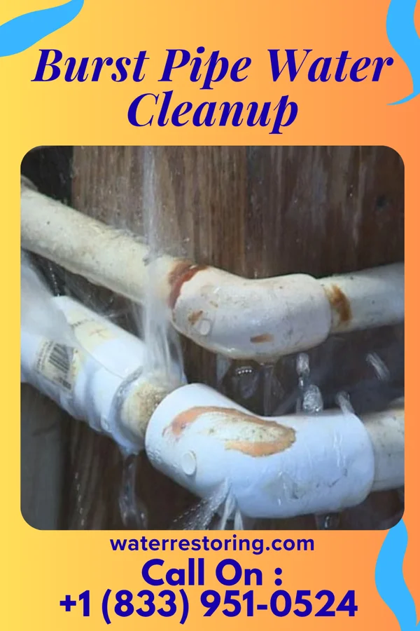 Burst Pipe Water Cleanup in Burnside, AZ