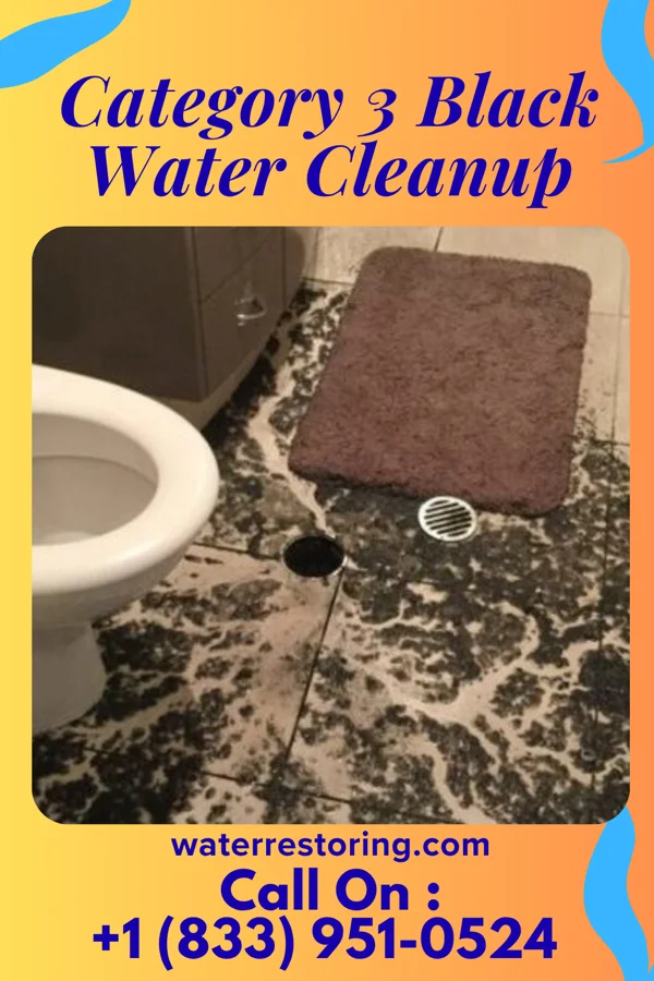 Category 3 Black Water Cleanup in Burnside, AZ